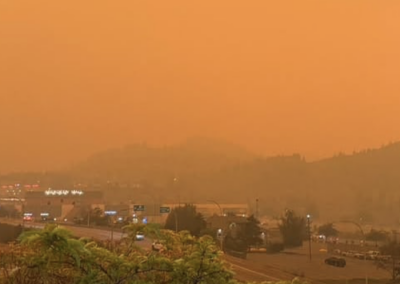 Wildfire Season Is Here. Your Indoor Air Matters More Than Ever.